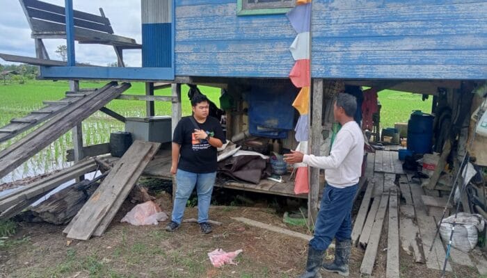 Kementan Kucurkan Rp500 Miliar untuk Pertanian di Kaltara, Konsultan : Petani Malinau Butuh Infrastruktur Penunjang
