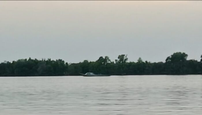 Sorotan Nelayan: Kapal Trawl Ilegal Baru Ditindak Setelah Disorot Publik